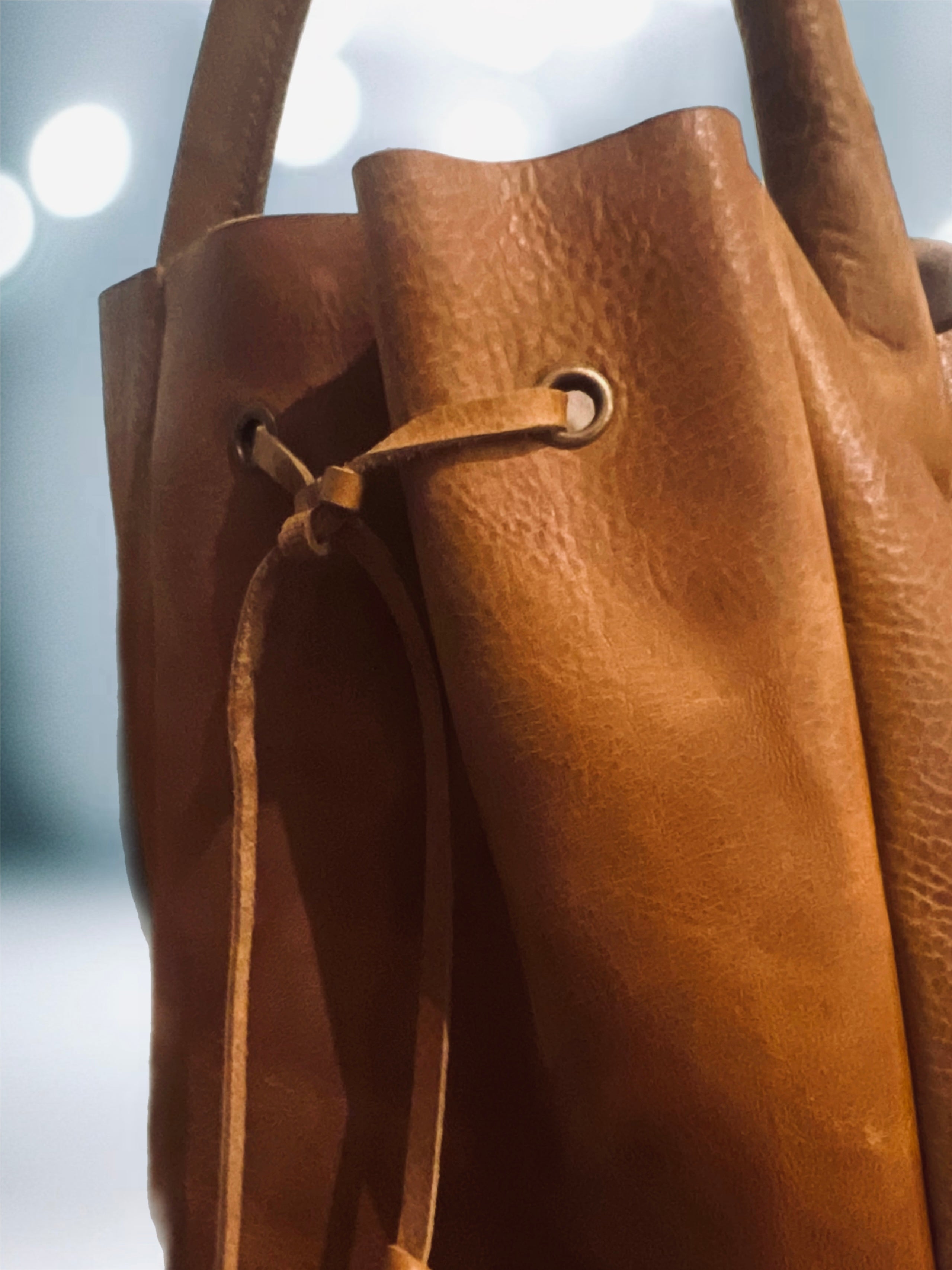 Willy totebag