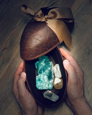 Alwalkeria Egg Furci C